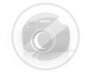 Gazelle ARROYO C5 HMB ELITE BELT Dame 2022 - Grå