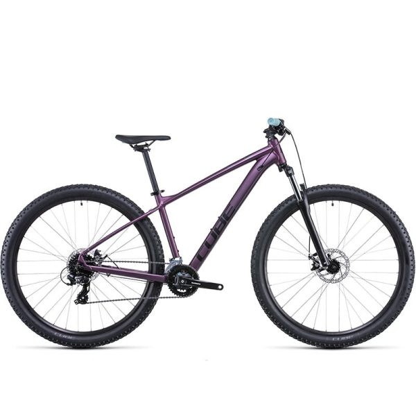 Cube Access WS - 2022