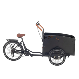 El ladcykel Mobike Simple Cruiser
