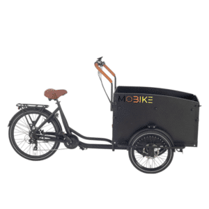 El ladcykel Mobike Simple Cruiser