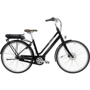 Raleigh Sussex E2 2021