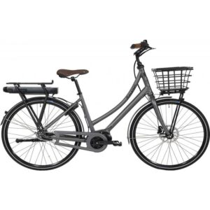 Raleigh Sussex E2 Dame Matgrå